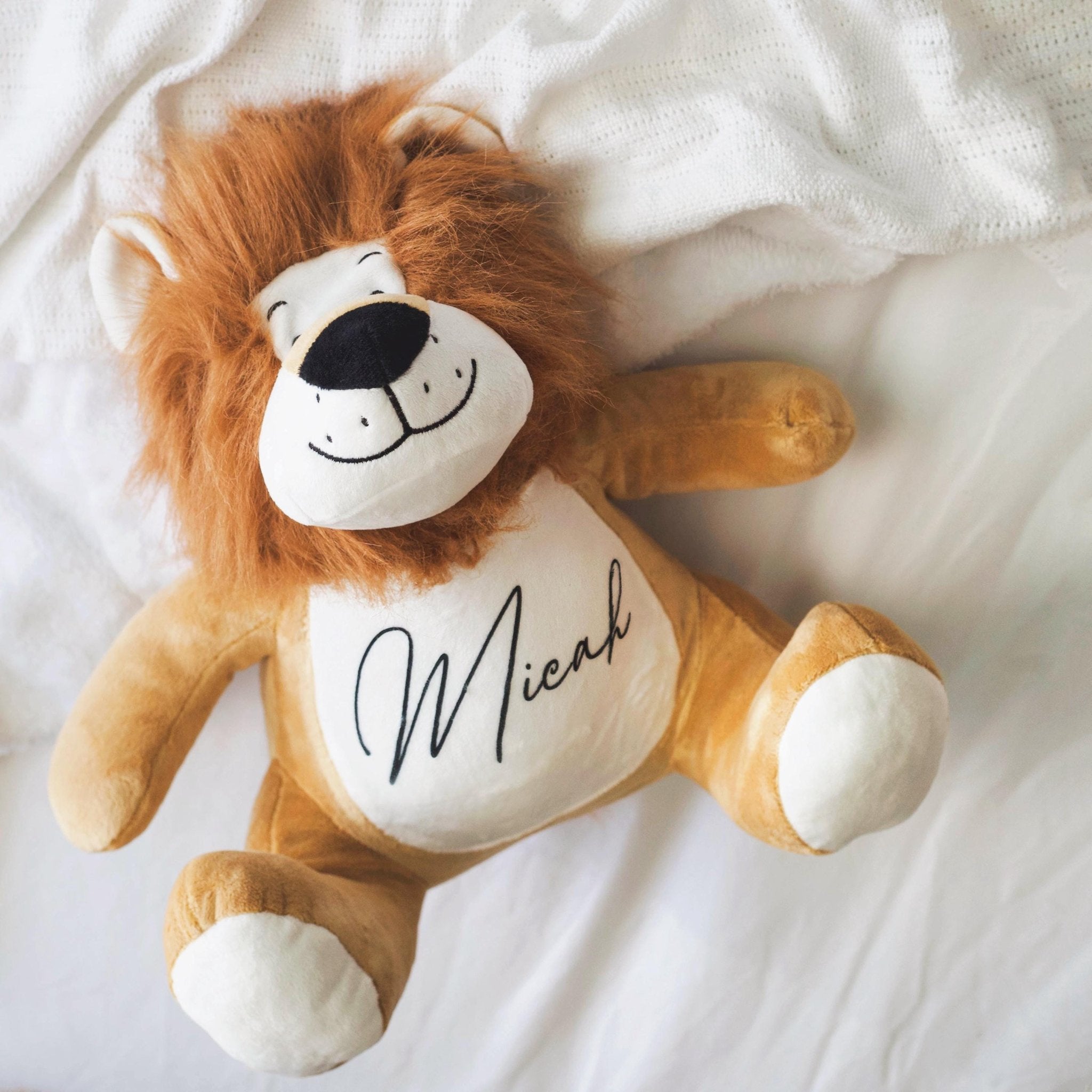 Personalised Lion, New Baby Gift, Customised Plush Soft Toy, Your Name Teddy, Cuddly Toy, Girls and Boys Teddy Baby Shower Gift - Jessica Hollie Gifts
