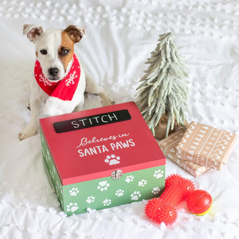 Santa Paws Christmas Eve Box